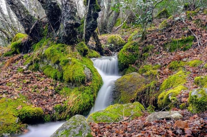 Вилла Casa Rural Las Nieves Сан-Сиприан Экстерьер фото